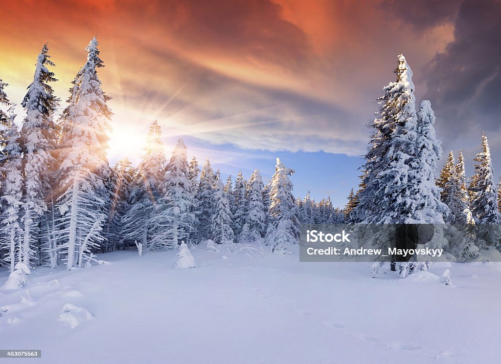 Красивый зимний Восход солнца в горах.  Эффектные red sky - Стоковые фото Зима роялти-фри