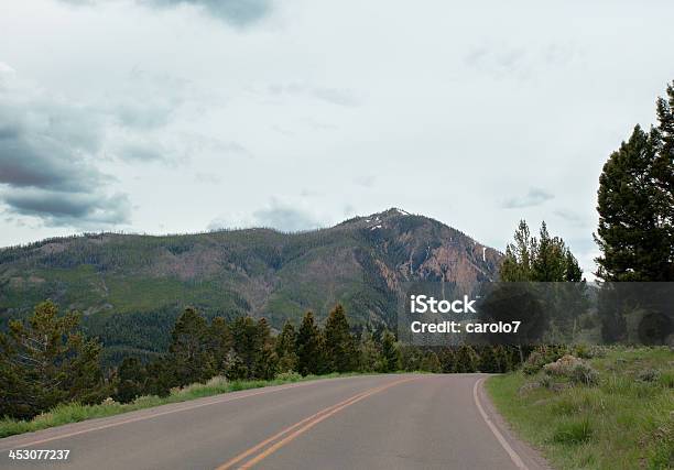 Kurve Bisgebirge Im Yellowstone National Park Textfreiraum Stockfoto und mehr Bilder von Baum