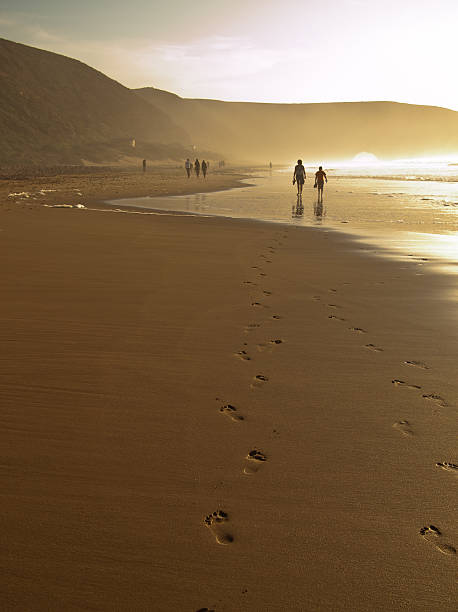 istock Two persons go into  distance across the sand 453080365