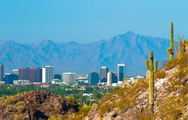 Midtown Phoenix skyline and Cactus Midtown Phoenix skyline, with the White Tank Mountains far behind, and desert hills and two saguaro cactus' in the foreground. sonoran desert stock pictures, royalty-free photos & images