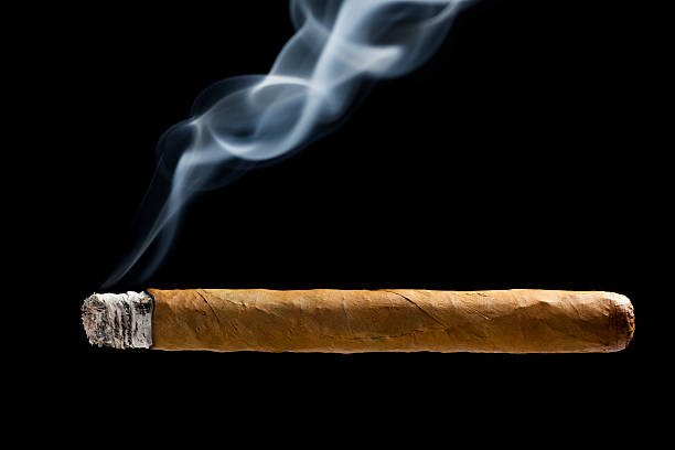 Cuban cigar stock photo