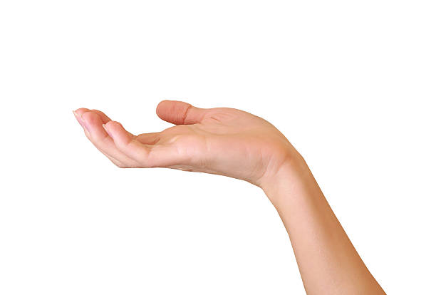 istock Woman hand showing or holding something isolated 453083077
