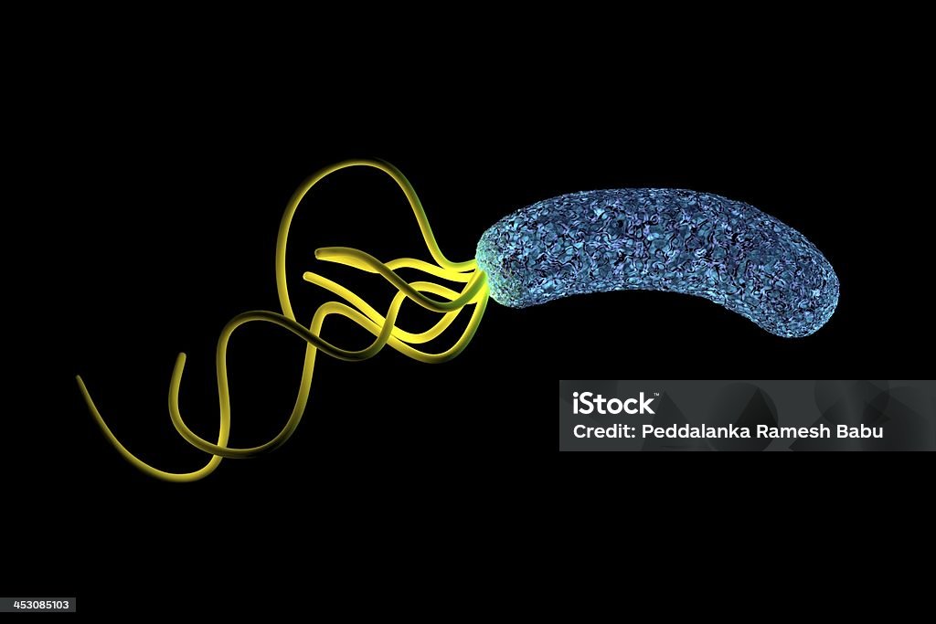 위나선균 박테리아 높은 정보 - 로열티 프리 TEM 스톡 사진