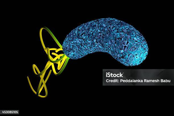 Helicobacter Pylori Bakteria Z Wysokiej Szczegółowe - zdjęcia stockowe i więcej obrazów Badanie lekarskie