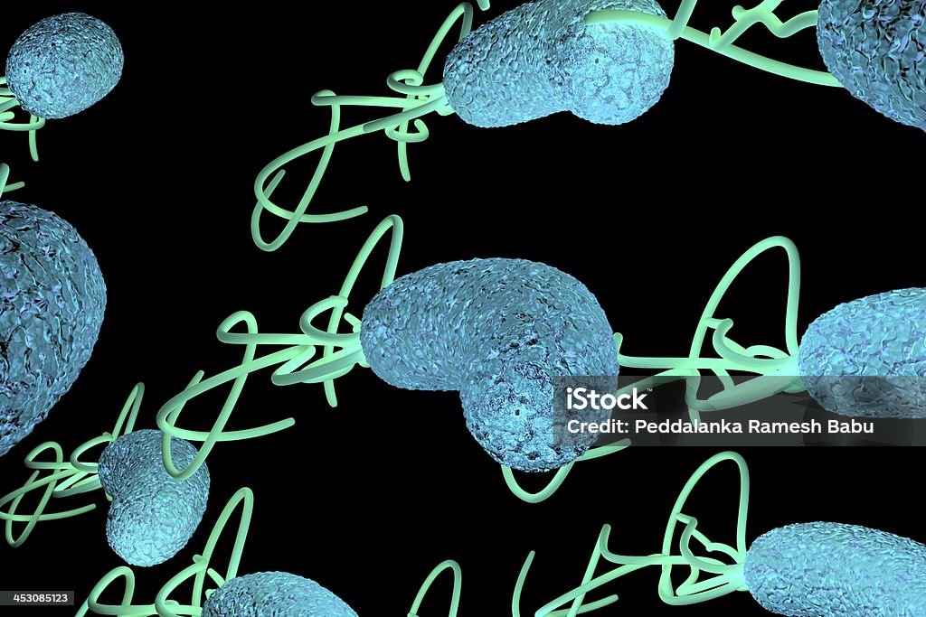 Bactéria helicobacter pylori com pormenores de - Royalty-free Abdómen Foto de stock