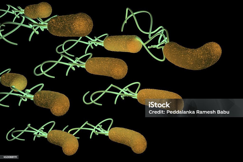Helicobactéria Bactéria com detalhes de - Foto de stock de Abdome royalty-free