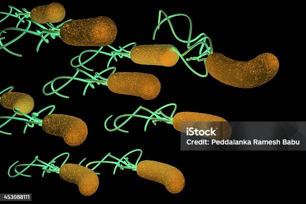 Bactéria Helicobacter Pylori Com Pormenores De - Fotografias de stock e mais imagens de Abdómen - Abdómen, Abdómen Humano, Bactéria