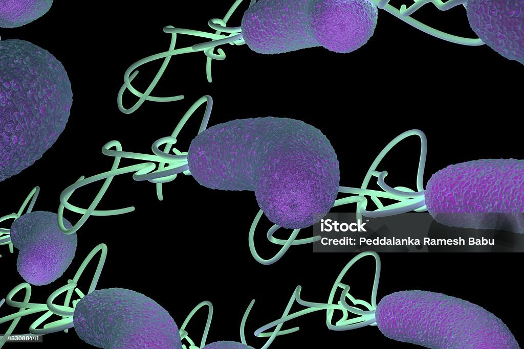 helicobacter pylori bacterium with high details Abdomen Stock Photo