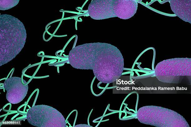 Helicobacter Pylori Bacterium With High Details Stock Photo - Download Image Now - Abdomen, Art Product, Bacterium