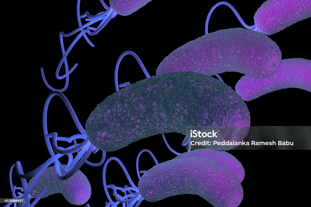 pylori di helicobacter pylori Batterio con dettagli alta - Foto stock royalty-free di A bastoncino