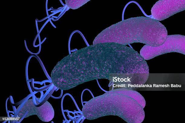 Pylori Di Helicobacter Pylori Batterio Con Dettagli Alta - Fotografie stock e altre immagini di A bastoncino
