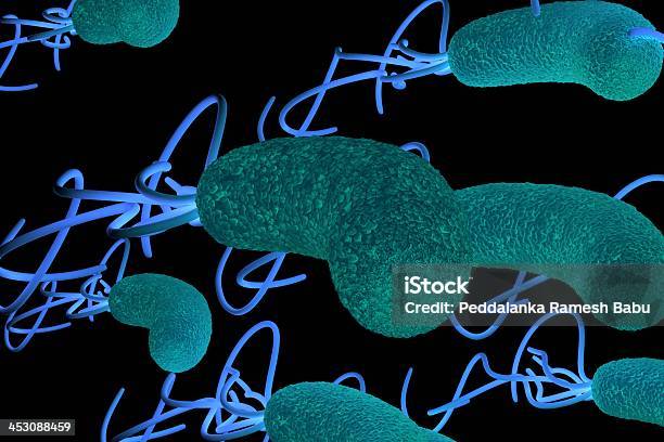 Helicobacter Pylori Bacteria Con Detalles De Alta Velocidad Foto de stock y más banco de imágenes de Abdomen
