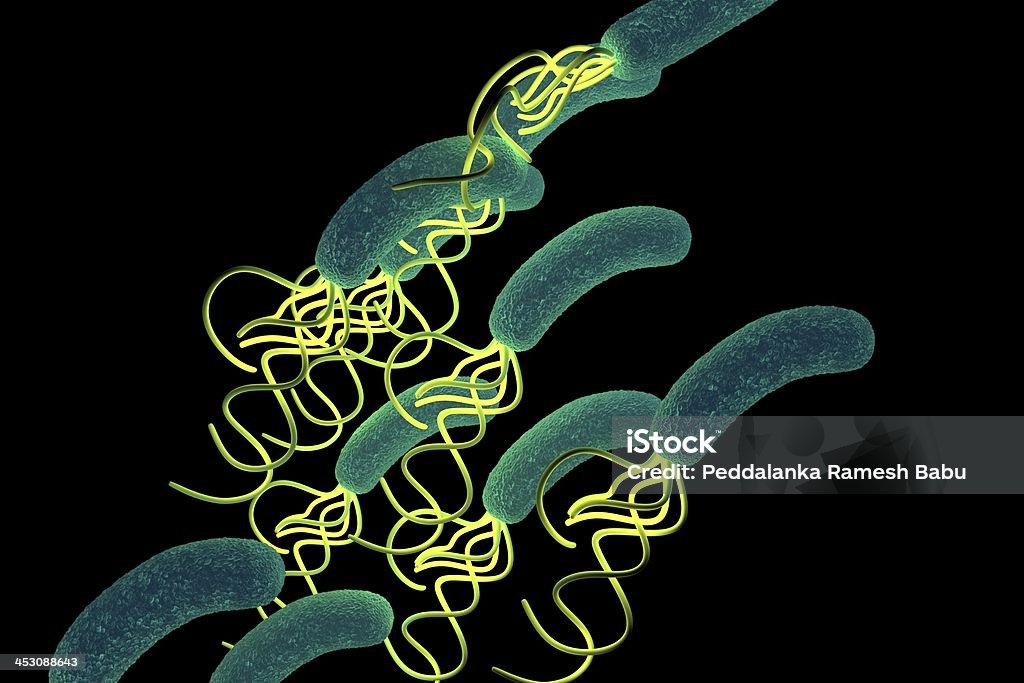 helicobacter pylori bacteria con detalles de alta velocidad - Foto de stock de Abdomen libre de derechos