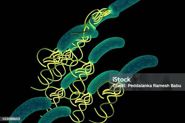 Helicobacter Pylori Bacteria Con Detalles De Alta Velocidad Foto de stock y más banco de imágenes de Abdomen