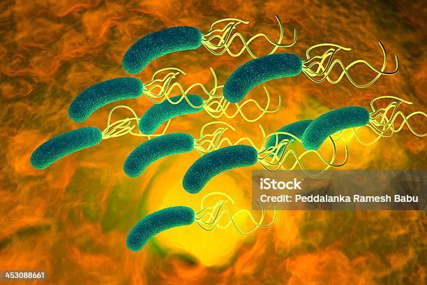 Pylori Di Helicobacter Pylori Batterio Con Dettagli Alta - Fotografie stock e altre immagini di A bastoncino