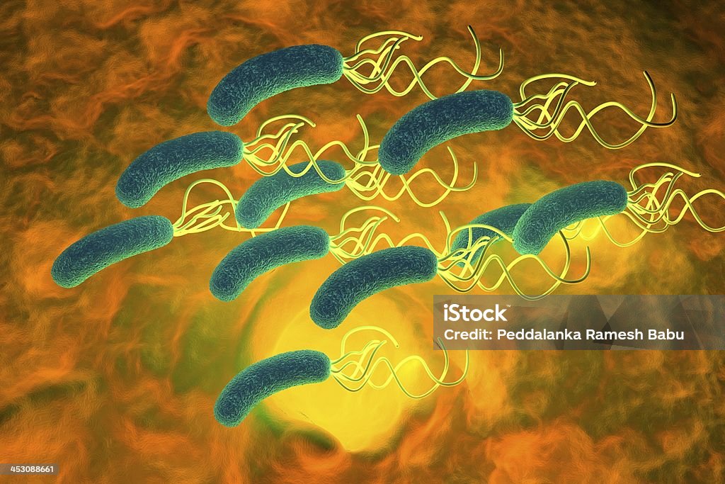 Bactéria helicobacter pylori com pormenores de - Royalty-free Abdómen Foto de stock