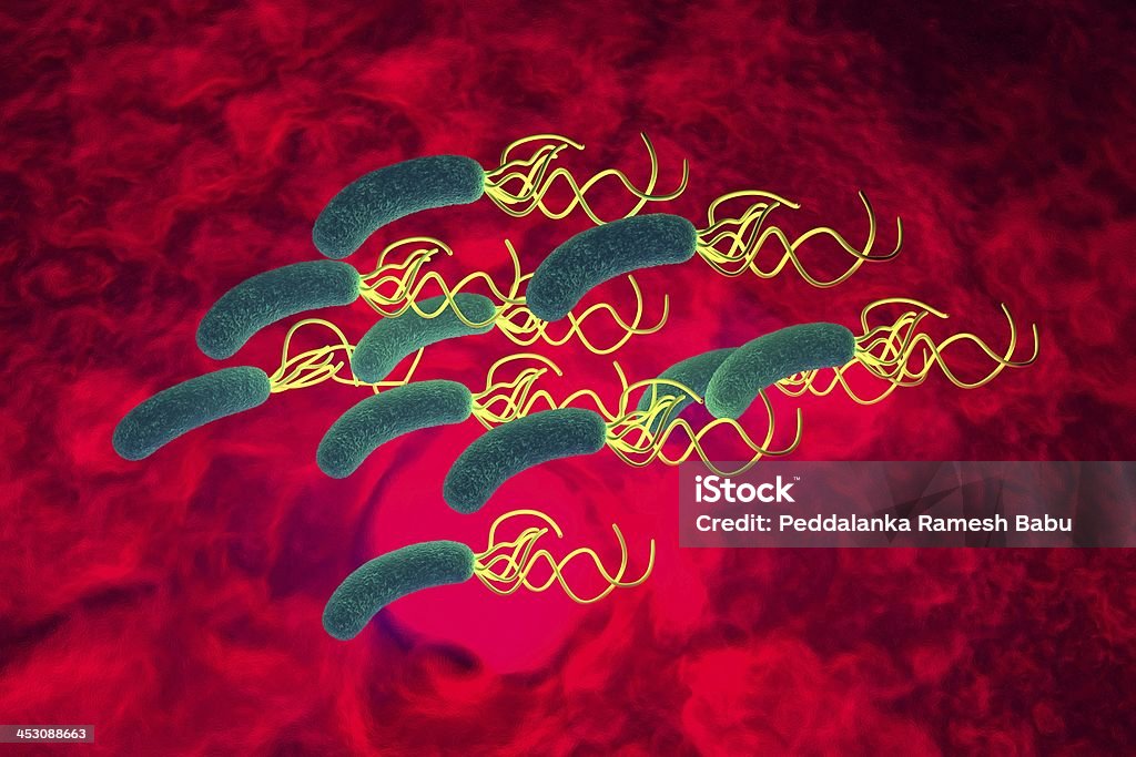 helicobacter pylori bacteria con detalles de alta velocidad - Foto de stock de Abdomen libre de derechos