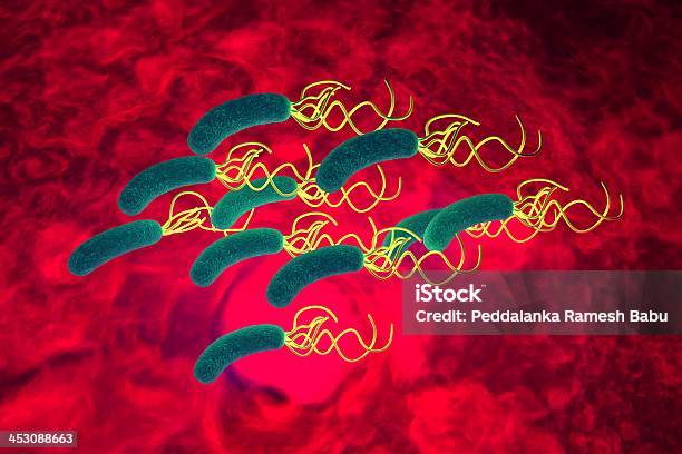 Helicobacter Pylori Bacteria Con Detalles De Alta Velocidad Foto de stock y más banco de imágenes de Abdomen