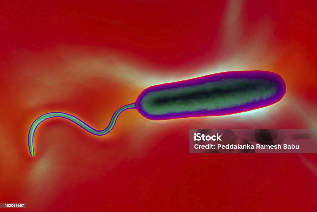 Gram-Negativ rod-förmige Bakterien - Lizenzfrei Ansicht aus erhöhter Perspektive Stock-Foto