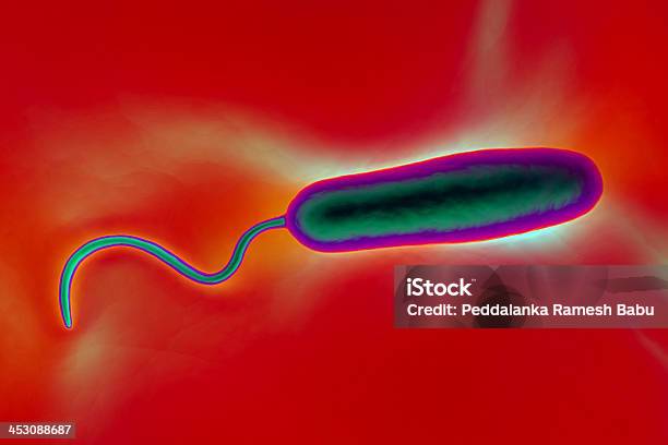 Gramnegativ Rodförmige Bakterien Stockfoto und mehr Bilder von Ansicht aus erhöhter Perspektive - Ansicht aus erhöhter Perspektive, Ausgebleicht, Baumwolle