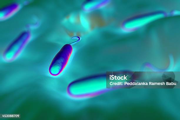 Gramnegativo N Forma De Bactérias - Fotografias de stock e mais imagens de Algodão - Algodão, Apartamento, Bactéria da cólera
