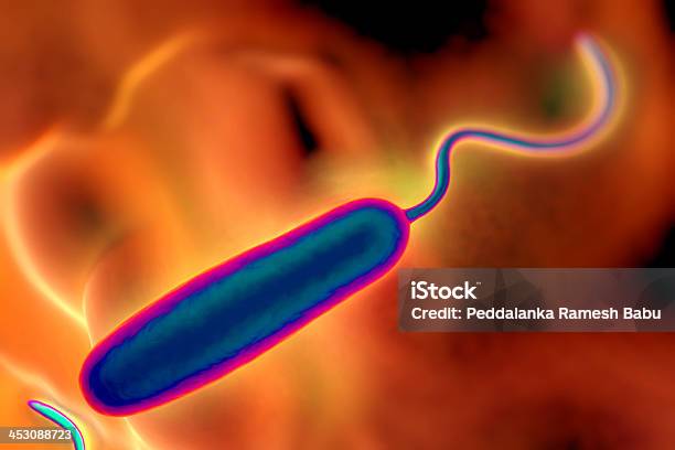 G 負ロッド型バクテリア - からっぽのストックフォトや画像を多数ご用意 - からっぽ, カラー画像, コレラ