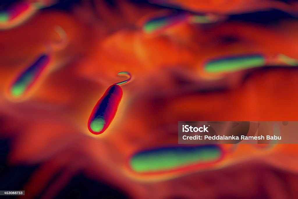 Grama-negativo rod forma de bactérias - Foto de stock de Bacillus Subtilis royalty-free