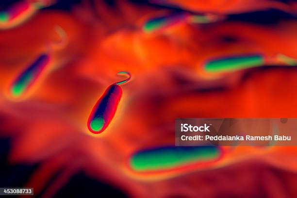 Foto de Gramanegativo Rod Forma De Bactérias e mais fotos de stock de Bacillus Subtilis - Bacillus Subtilis, Bactéria, Biologia