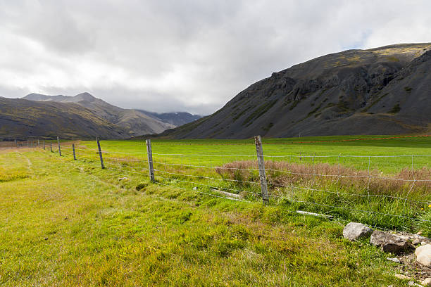istock Country on south coast, East Iceland 453094067