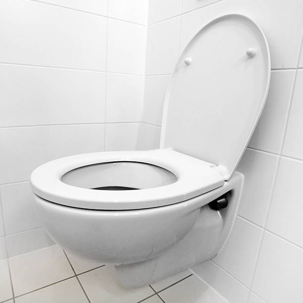 istock The toilet bowl 453094345