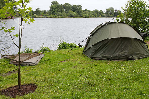 istock Fishing in the lake 453095223