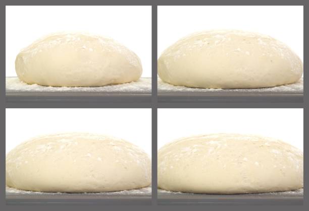 Collage of a rising bread dough