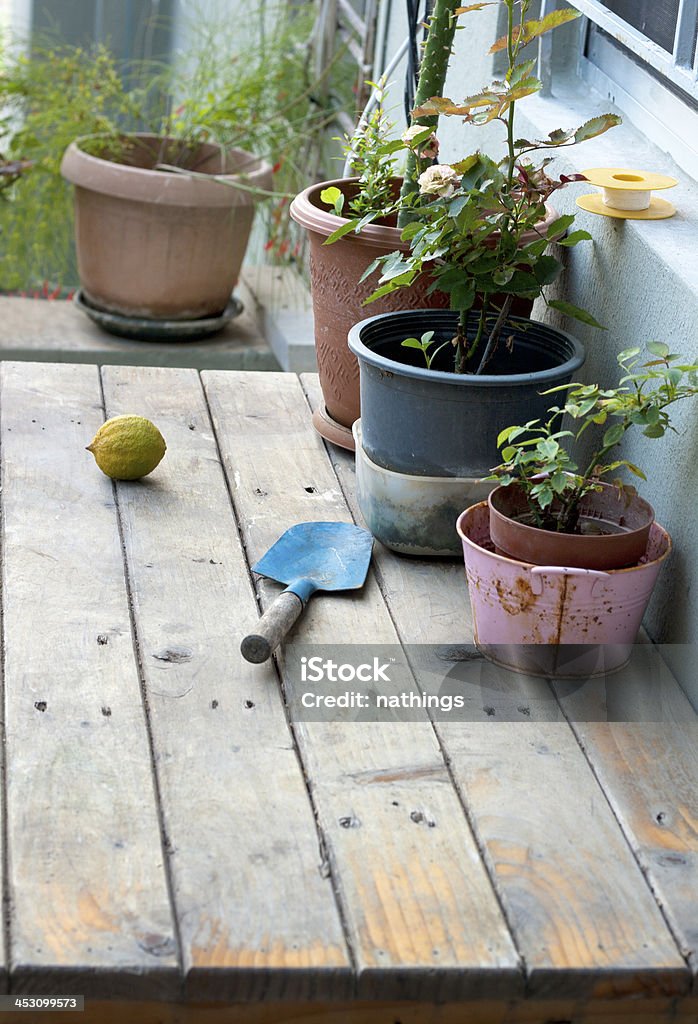 Limón y pala en mesa de madera - Foto de stock de Acero libre de derechos