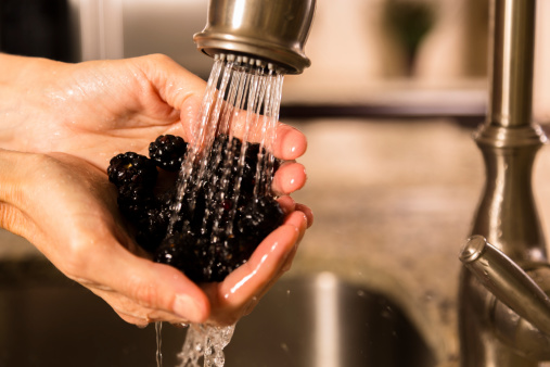 Food:  Woman washing fresh ripe blackberries at the kitchen sink.