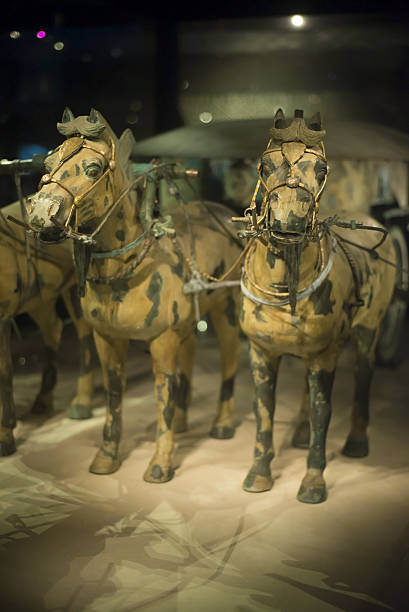 qin shi huang's tomb - horse terracotta soldiers china terracotta zdjęcia i obrazy z banku zdjęć