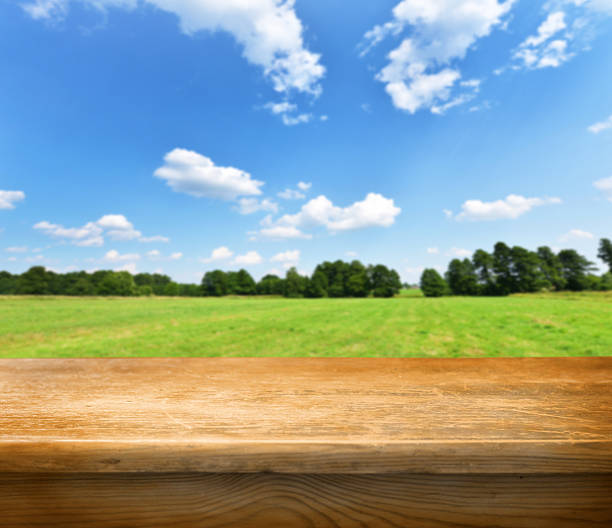 istock Empty wooden table over a green field under the blue sky 453108935