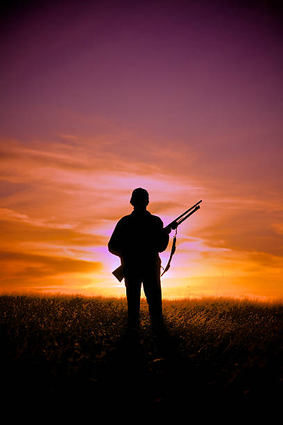istock Ready to Hunt at Sunrise 453114335