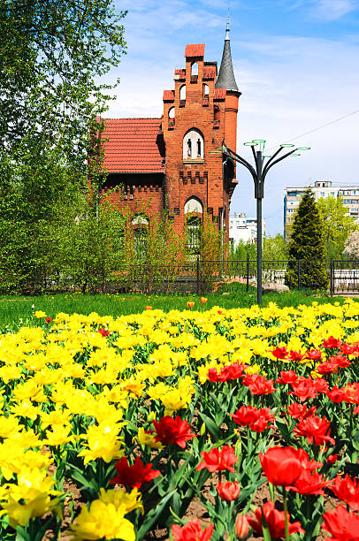 istock Old german architecture in Kaliningrad 453115487