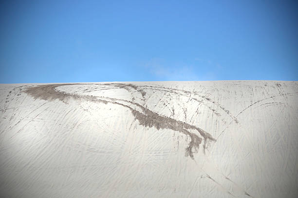 istock Oregon Sand Dunes Recreation Area 453117147
