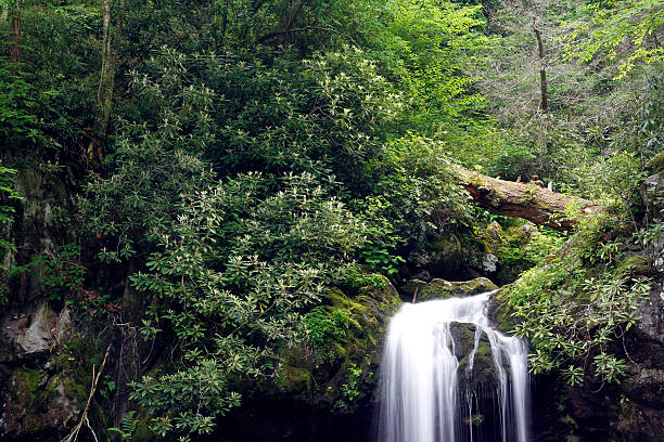 gruta de cataratas - grotto falls fotografías e imágenes de stock