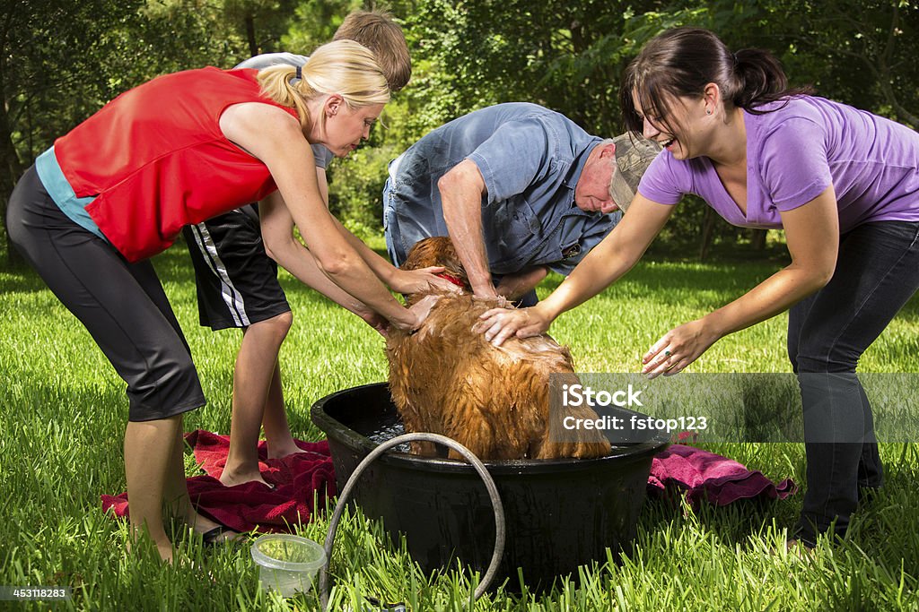 Les animaux de compagnie: Famille Multi-générations pour chien un bain. Jardin. L'été. - Photo de Baignoire libre de droits