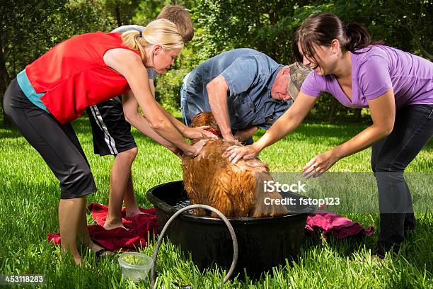 Animais De Estimação Família De Várias Gerações Dá Um Banho Do Cão Arredores Verão - Fotografias de stock e mais imagens de Banheira