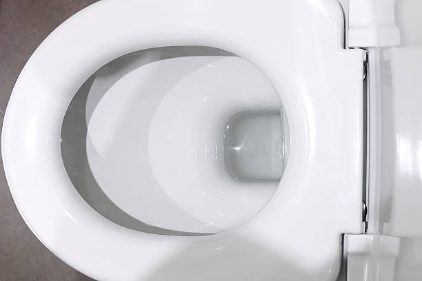 istock Interior of a typical water-closet. 453122513