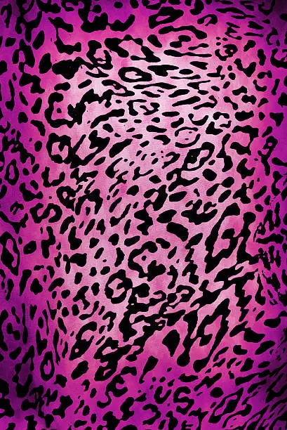 Photo of Leopard pattern