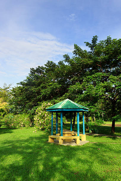 istock Resting hut in a park surrounded by nature 453126985