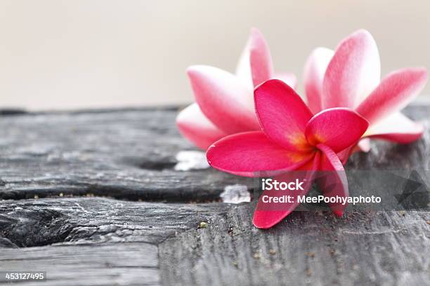 Red Frangipani Flower On Old Woods Stock Photo - Download Image Now - Asia, Bali, Balinese Culture