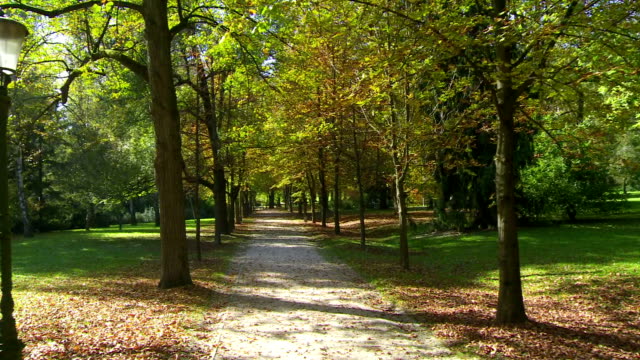 Treelined Park Promenade
