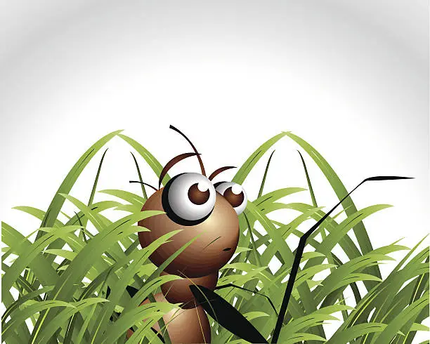 Vector illustration of Ant Character