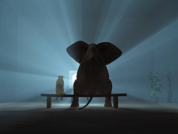 istock friends are watching TV 453135213
