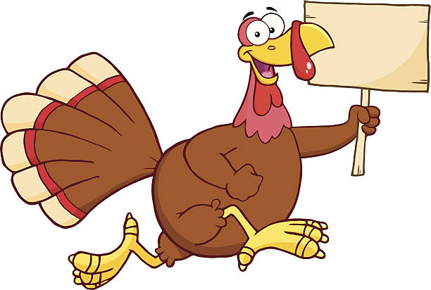 die türkei-vogel laufen und holding blank sign - turkey thanksgiving cartoon animated cartoon stock-grafiken, -clipart, -cartoons und -symbole